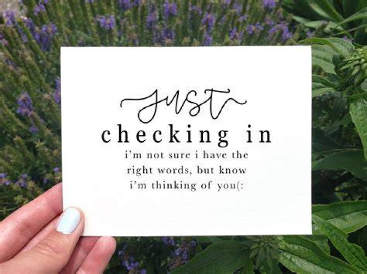How do you say am just checking on you?