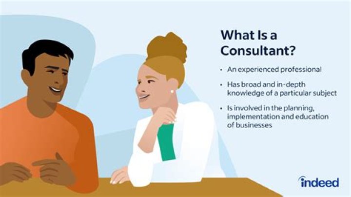 What does a support consultant do?
