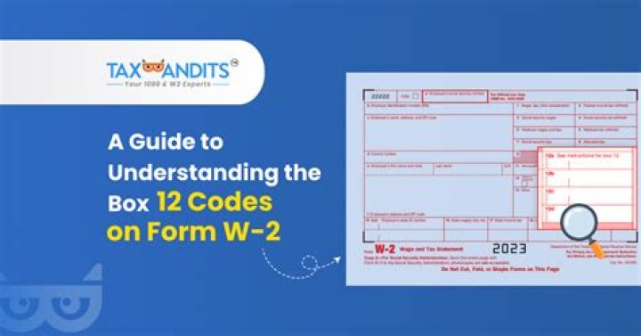 What is box 12a on W-2 Code W?