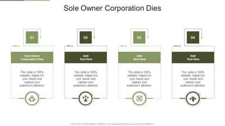 When a sole corporation owner dies?
